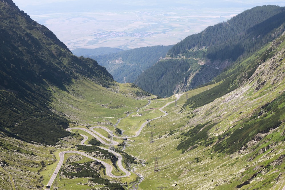 bird eye photography of green valley