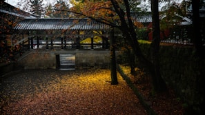 Colorful autumn leaves framing a serene Japanese garden path