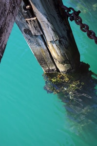 A weathered wooden post partially submerged in clear turquoise water, covered with algae and some small marine life. A rusted metal chain is attached to the post, casting a shadow on the water.