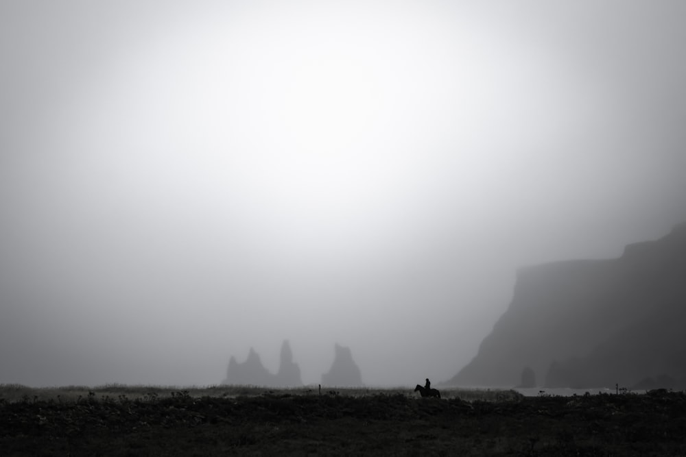 a black and white photo of a foggy field