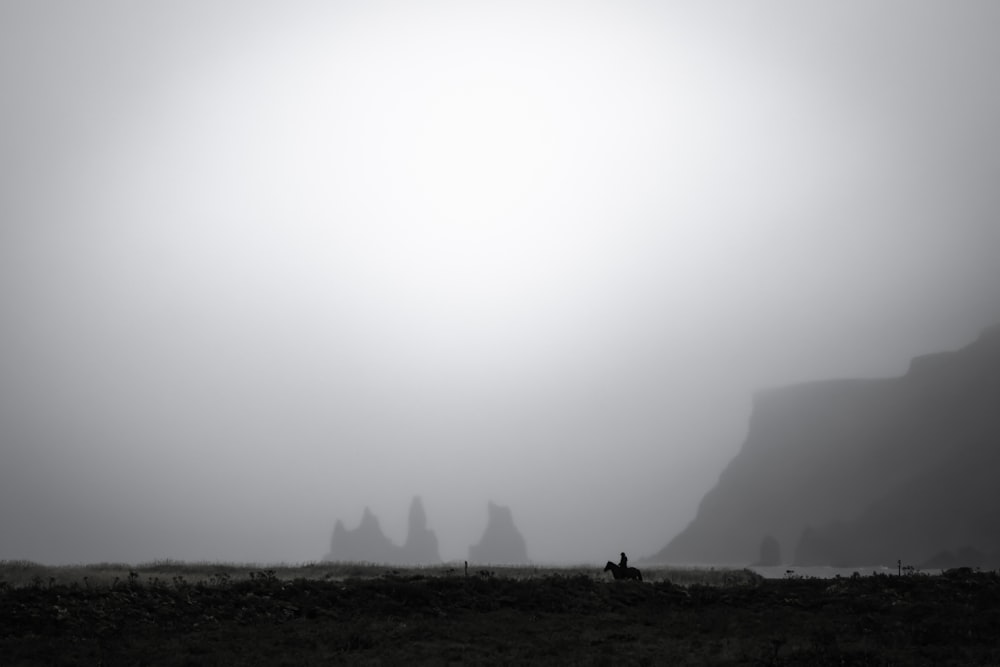 Une photo en noir et blanc d’un champ brumeux