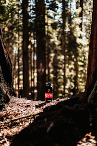 A water bottle with a prominent red logo is set on a forest floor surrounded by tall trees. Sunlight filters through the canopy, casting intricate shadows and highlighting the bottle as the central focus. The setting appears natural and tranquil, with fallen leaves and twigs scattered around.