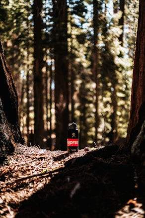 A water bottle with a prominent red logo is set on a forest floor surrounded by tall trees. Sunlight filters through the canopy, casting intricate shadows and highlighting the bottle as the central focus. The setting appears natural and tranquil, with fallen leaves and twigs scattered around.