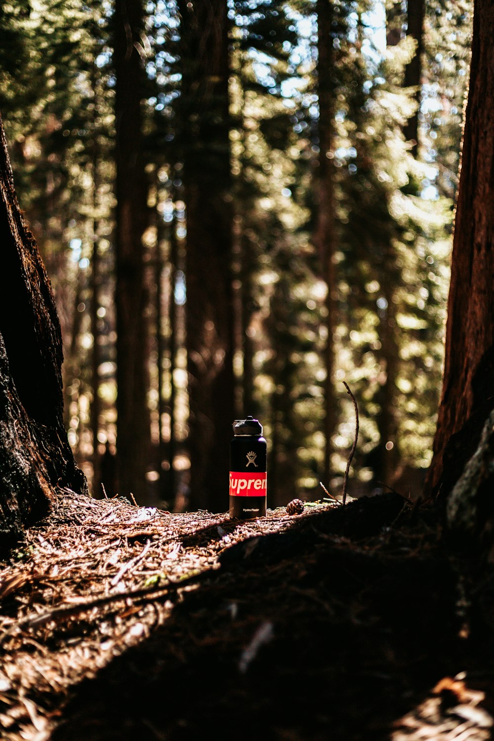 black and red Supreme bottle between two brown tree trunks selective fucos photo