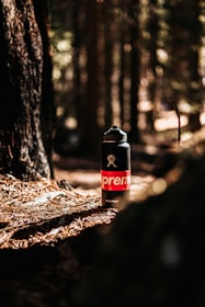 A black water bottle with a red and white logo stands on the forest floor covered in pine needles. Sunlight filters through the trees, creating a warm, natural backdrop. The surrounding trees and greenery are slightly out of focus, enhancing the bottle's prominence.