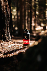 A black water bottle with a red and white logo stands on the forest floor covered in pine needles. Sunlight filters through the trees, creating a warm, natural backdrop. The surrounding trees and greenery are slightly out of focus, enhancing the bottle's prominence.