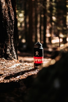 A black water bottle with a red and white logo stands on the forest floor covered in pine needles. Sunlight filters through the trees, creating a warm, natural backdrop. The surrounding trees and greenery are slightly out of focus, enhancing the bottle's prominence.