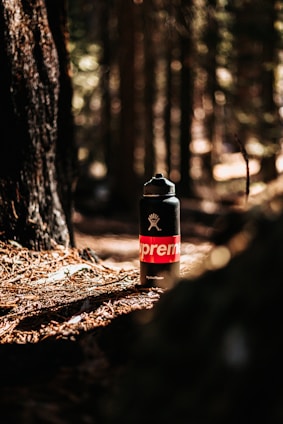 A black water bottle with a red and white logo stands on the forest floor covered in pine needles. Sunlight filters through the trees, creating a warm, natural backdrop. The surrounding trees and greenery are slightly out of focus, enhancing the bottle's prominence.