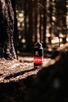 A black water bottle with a red and white logo stands on the forest floor covered in pine needles. Sunlight filters through the trees, creating a warm, natural backdrop. The surrounding trees and greenery are slightly out of focus, enhancing the bottle's prominence.