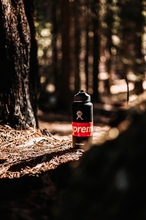 A black water bottle with a red and white logo stands on the forest floor covered in pine needles. Sunlight filters through the trees, creating a warm, natural backdrop. The surrounding trees and greenery are slightly out of focus, enhancing the bottle's prominence.