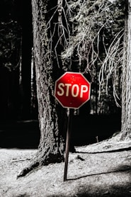 stop signage in the forest