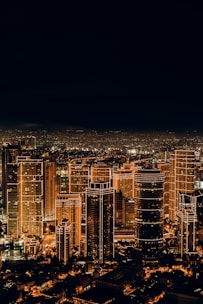 city buildings during night time