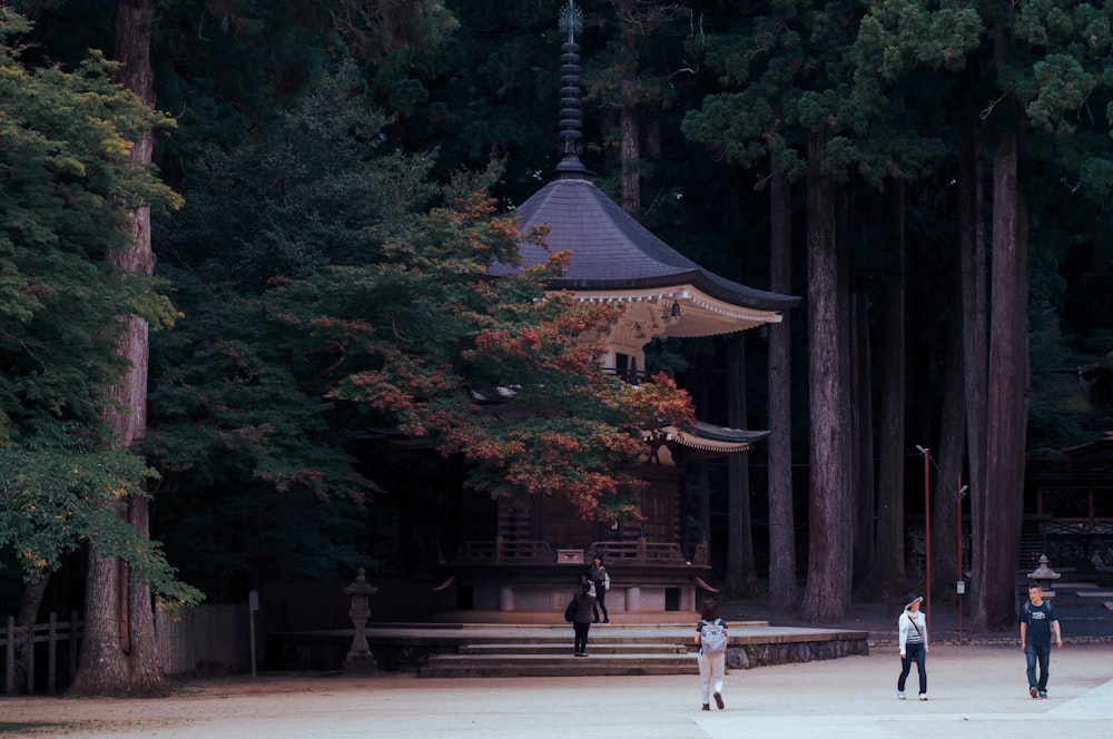 person walking towards pagoda