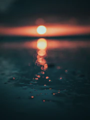 bokeh photography of lights
