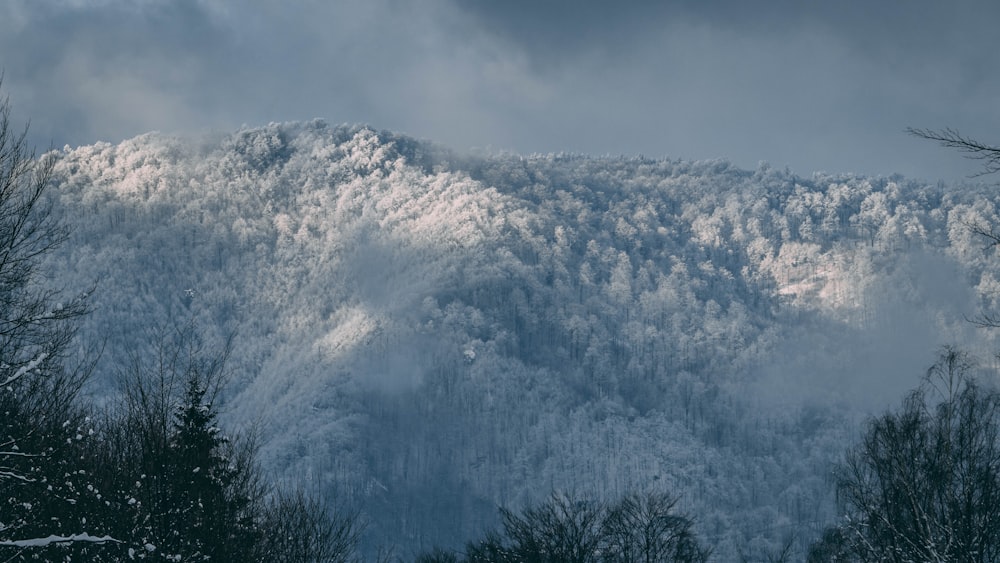 mountain filled with snow during daytime