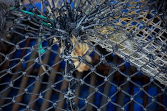 A tightly knotted fishing net with various colors of ropes intertwined, including black, green, and beige. The net is placed over a surface with a blue and brown background, possibly part of a boat or pier.