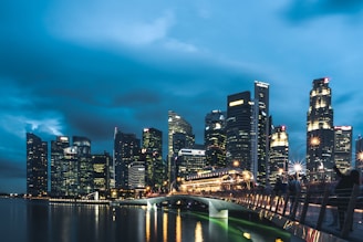 cityscape at night
