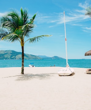 coconut tree near shore within mountain range