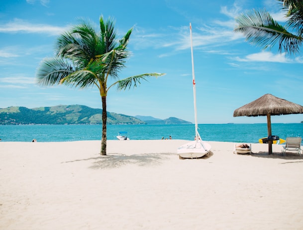 coconut tree near shore within mountain range