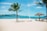 coconut tree near shore within mountain range