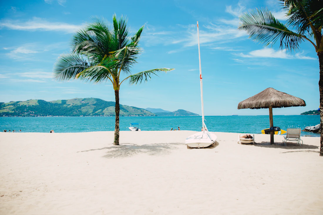 Palm trees and a coastal walkway