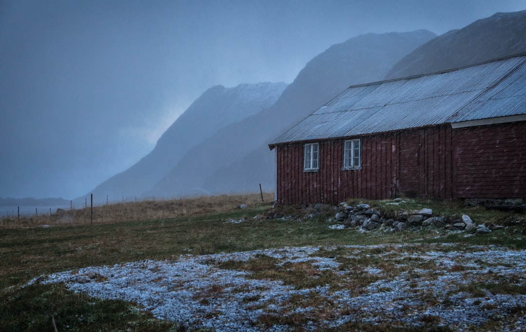 Tundra photo spot Lofoten Islands Flakstad