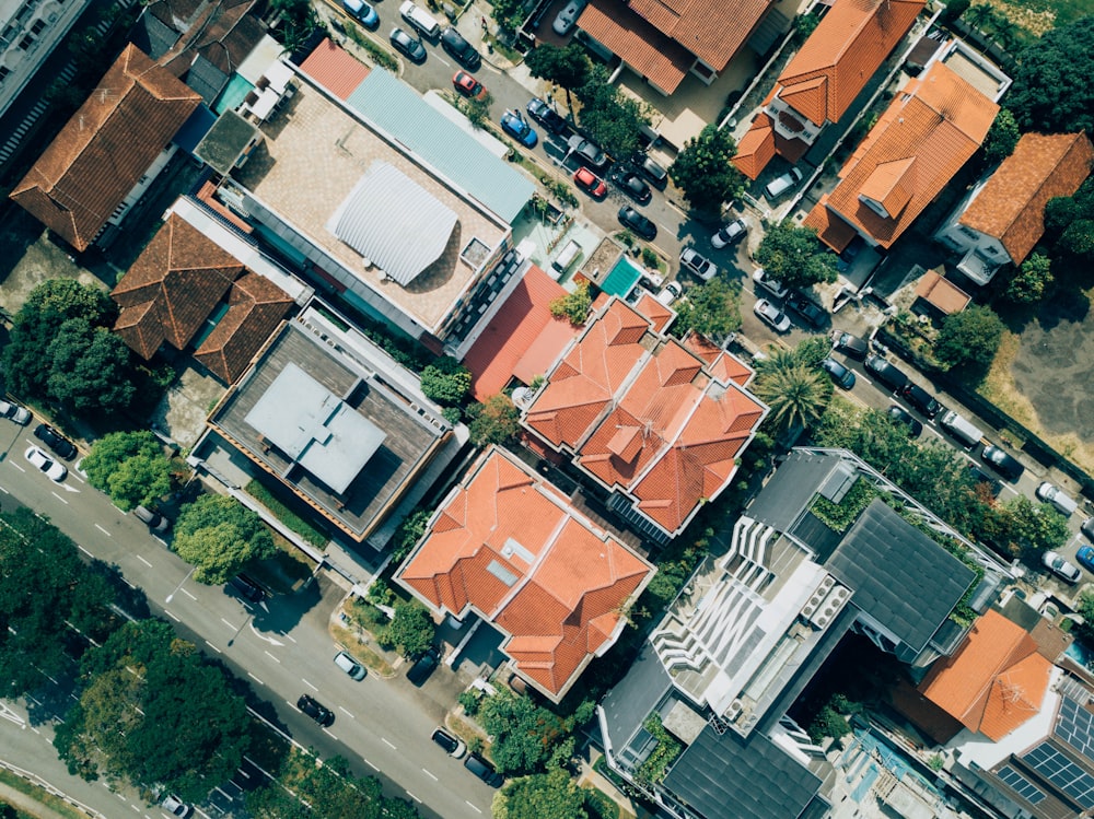 aerial photography of houses