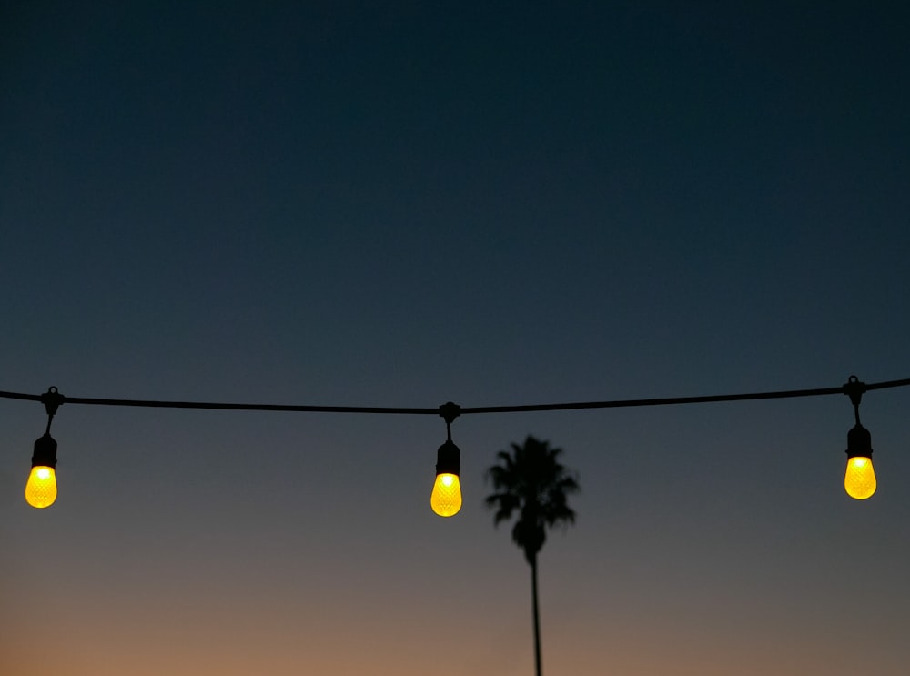 yellow string lights at nigh time