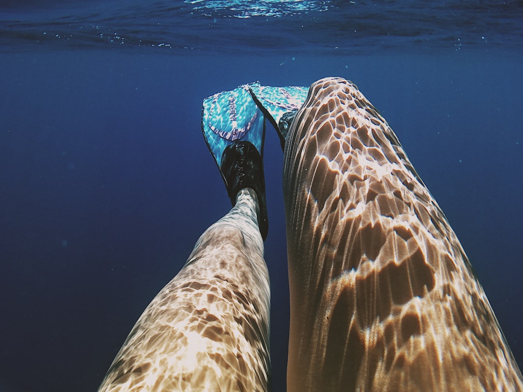 person wearing blue flipper underwater