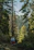 A rugged hunter standing beside a dense forest trail at dawn, gear ready for the day.