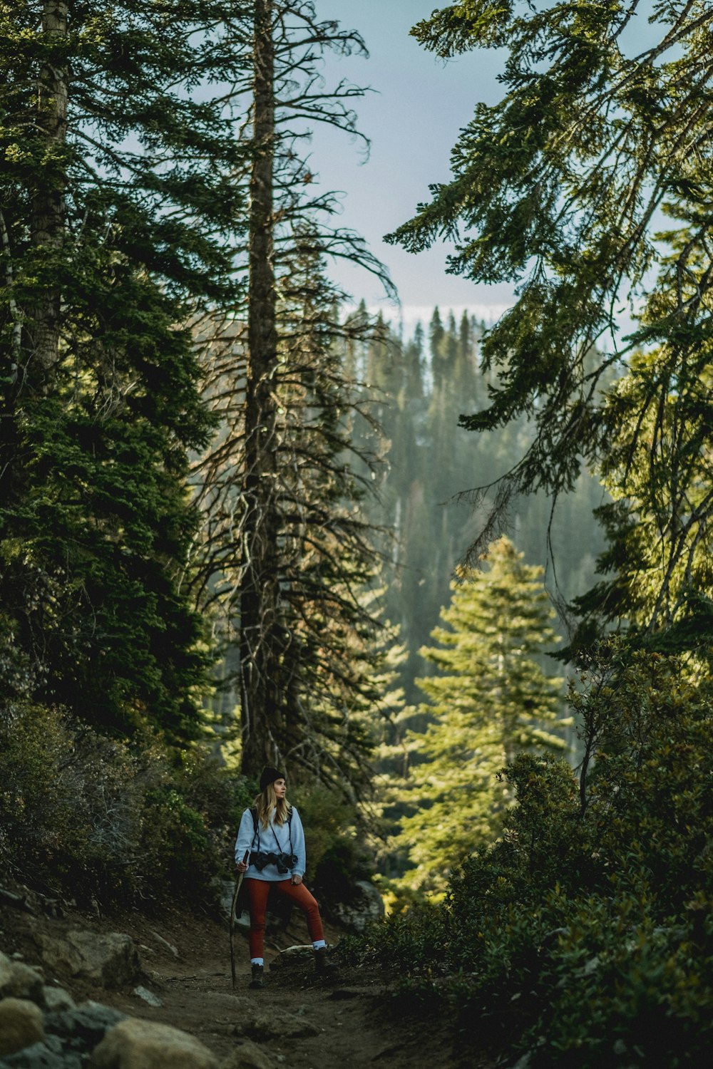 Femme en veste blanche avec un pantalon rouge debout près de l’arbre pendant la journée