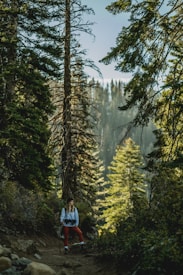 A person wearing outdoor gear stands on a trail surrounded by tall trees and dense forest foliage. The sunlight filters through the branches, casting dappled shadows on the ground. The setting is serene and verdant, indicating a temperate forest environment.