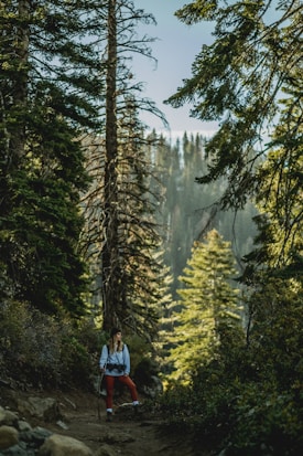 A person wearing outdoor gear stands on a trail surrounded by tall trees and dense forest foliage. The sunlight filters through the branches, casting dappled shadows on the ground. The setting is serene and verdant, indicating a temperate forest environment.