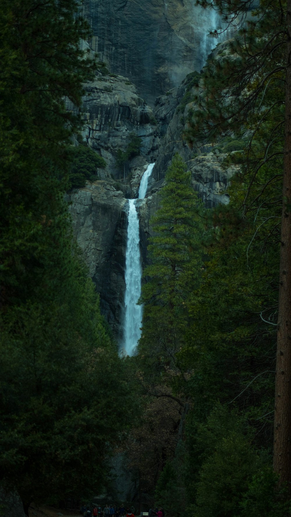 waterfalls surrounded by green trees