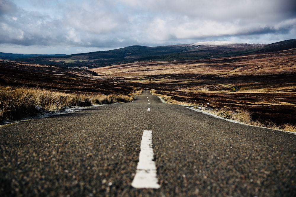 road between grass field