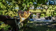 A detailed image capturing a moment in the glassblowing process. Hands are manipulating a glowing piece of molten glass, which is being shaped with the assistance of a tool. The background features a lush, green, outdoor setting with dappled sunlight filtering through the trees, and blurred elements indicating a bench and other items in the distance.