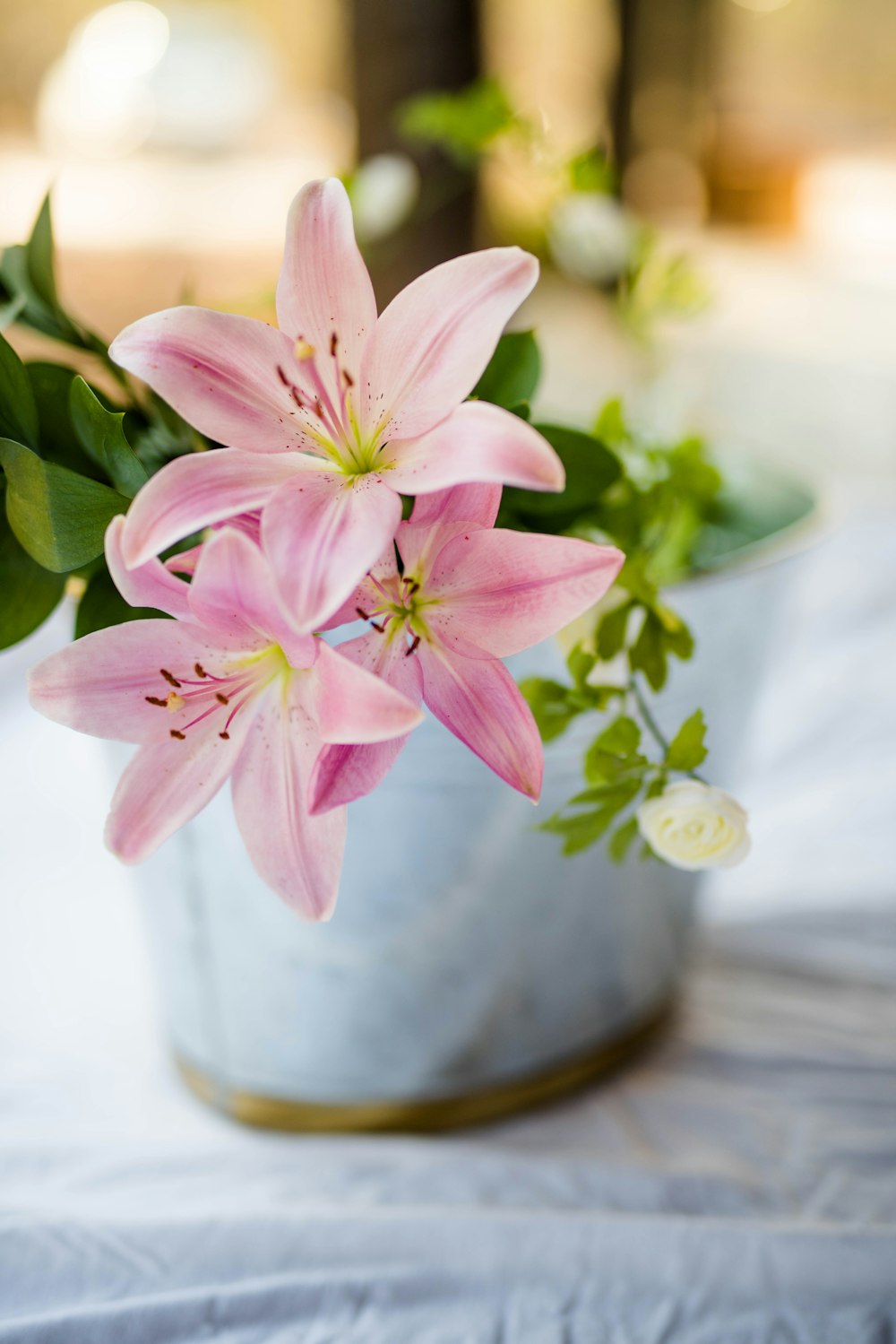 Planta de flor rosa en maceta blanca