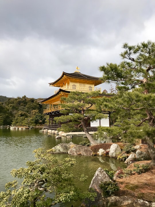 brown and black temple surrounded by green leafed trees in Kinkaku-ji Japan