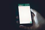 person holding smartphone