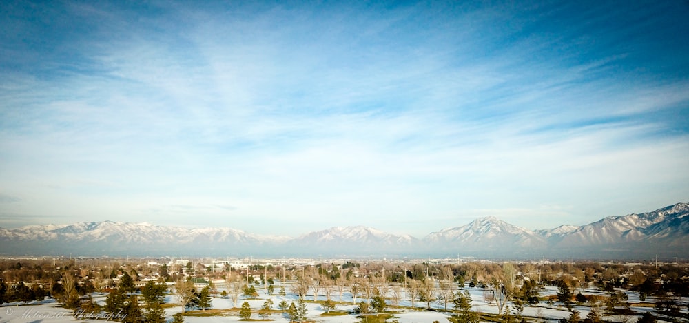 brown field and mountains