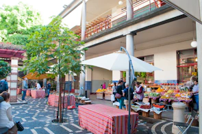 Colorful stalls filled with homegrown fruits and plants under a sunny sky