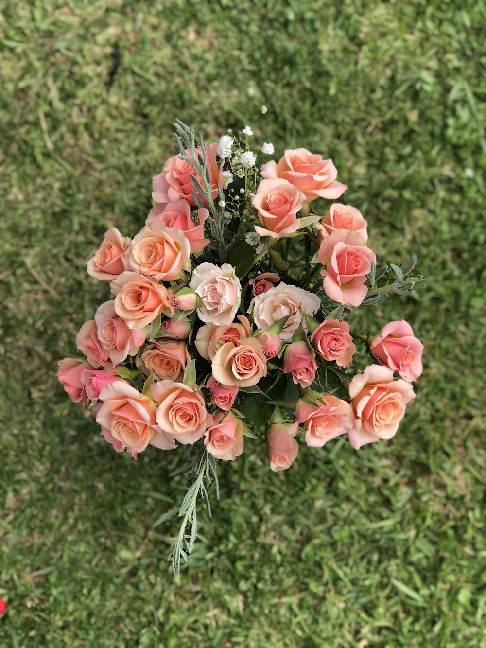 Fotografía de primer plano de flores de rosas rosadas