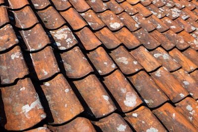 A close-up view of a roof covered with overlapping terracotta tiles. The tiles show signs of wear, with patches of white lichen or mold. The sunlight casts shadows between the tiles, highlighting their textured and weathered surface.