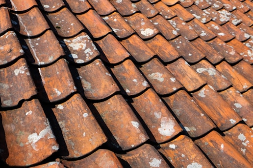 A close-up view of a roof covered with overlapping terracotta tiles. The tiles show signs of wear, with patches of white lichen or mold. The sunlight casts shadows between the tiles, highlighting their textured and weathered surface.