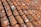 A close-up view of a roof covered with overlapping terracotta tiles. The tiles show signs of wear, with patches of white lichen or mold. The sunlight casts shadows between the tiles, highlighting their textured and weathered surface.
