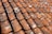 A close-up view of a roof covered with overlapping terracotta tiles. The tiles show signs of wear, with patches of white lichen or mold. The sunlight casts shadows between the tiles, highlighting their textured and weathered surface.
