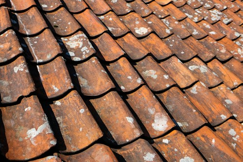 A close-up view of a roof covered with overlapping terracotta tiles. The tiles show signs of wear, with patches of white lichen or mold. The sunlight casts shadows between the tiles, highlighting their textured and weathered surface.