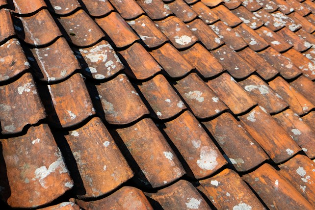A close-up view of a roof covered with overlapping terracotta tiles. The tiles show signs of wear, with patches of white lichen or mold. The sunlight casts shadows between the tiles, highlighting their textured and weathered surface.
