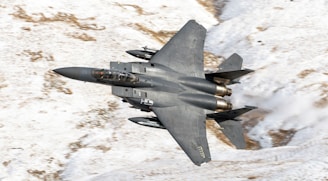 flying black f14 tomcat in sky