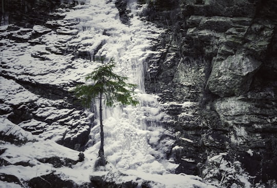 green tree beside gray rock mountain in Cluj-Napoca Romania